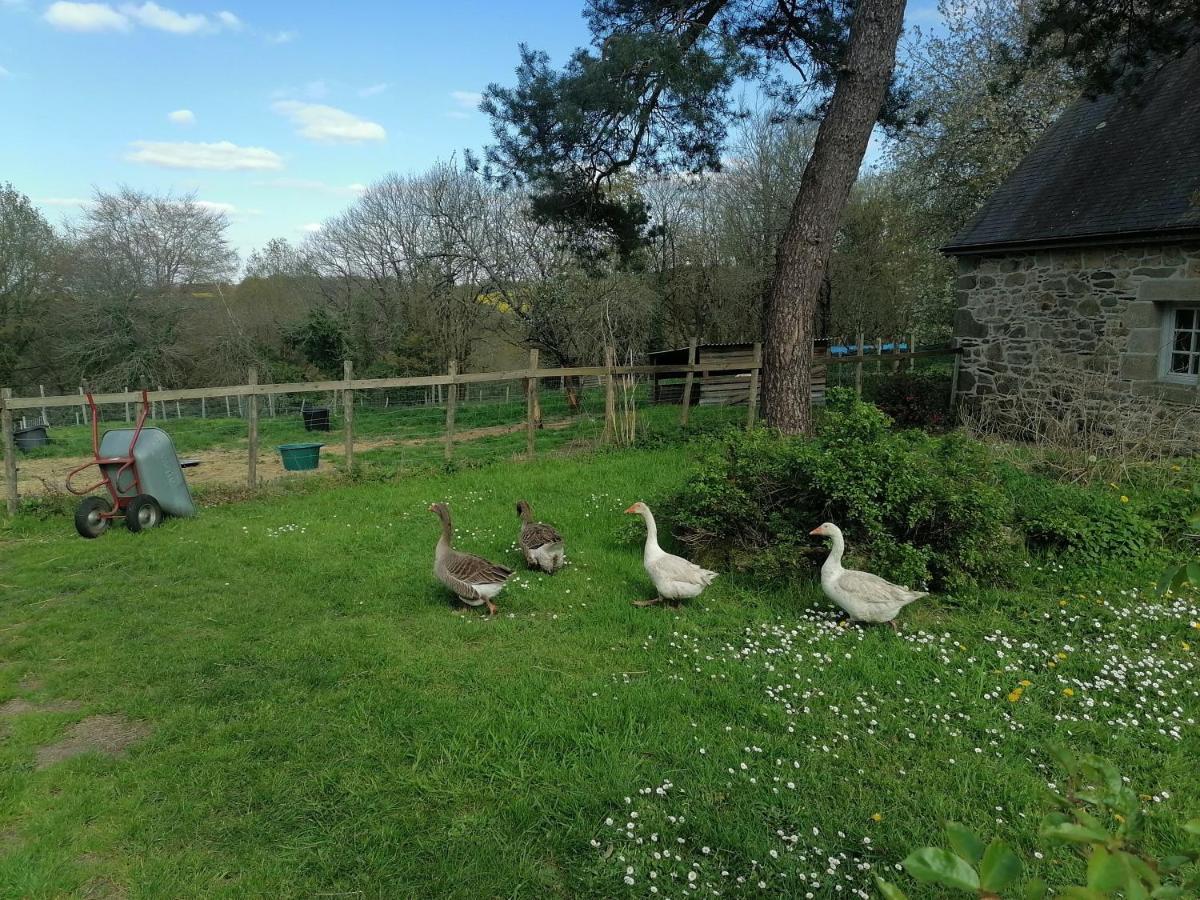 Frairie Du Divit Bed & Breakfast Pontivy Luaran gambar