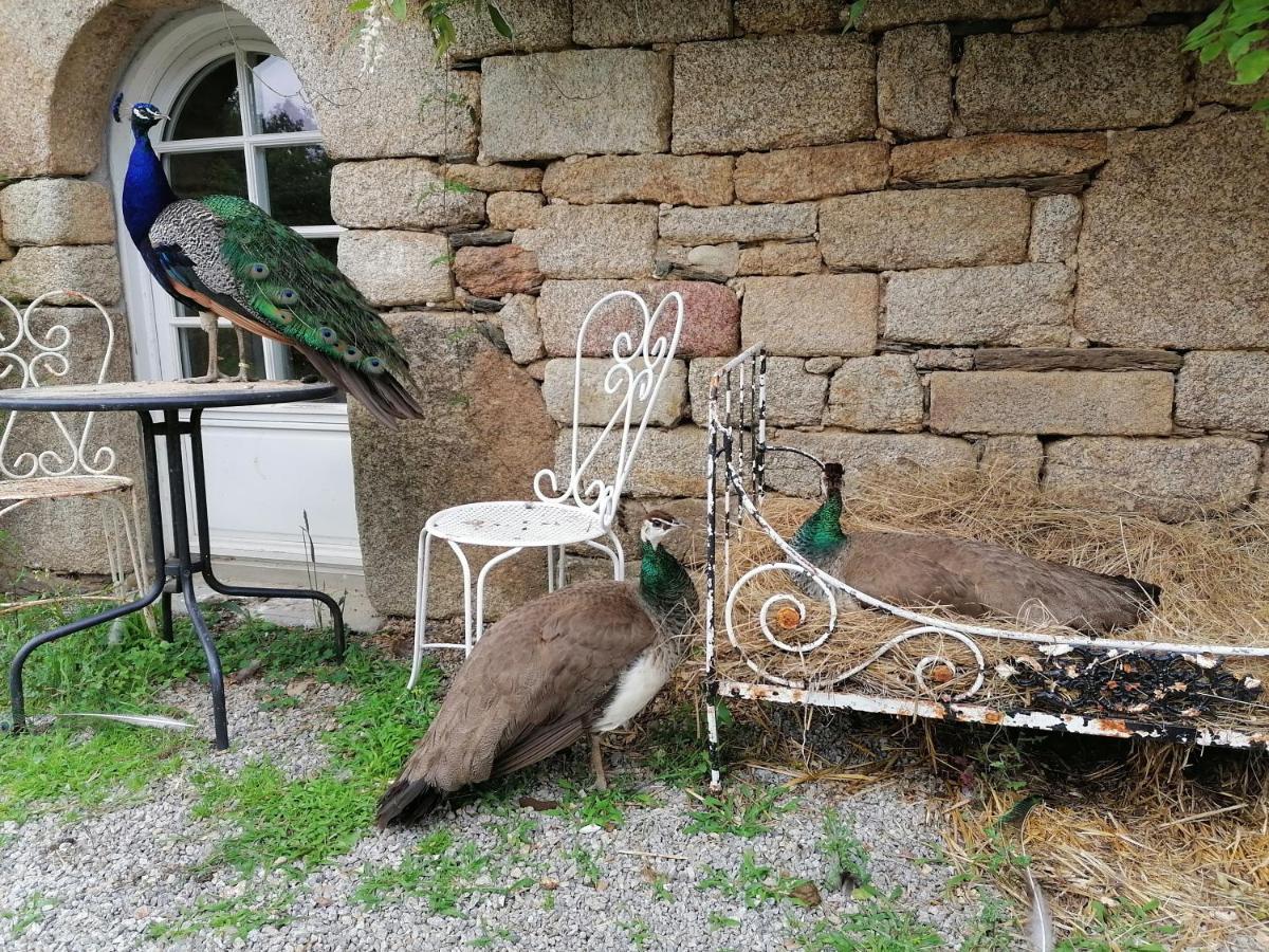 Frairie Du Divit Bed & Breakfast Pontivy Luaran gambar